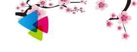 花花小说